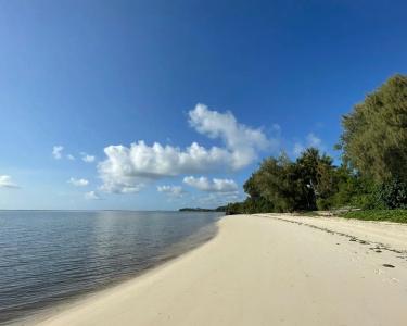 Sunny Palms Beach Bungalows - 20