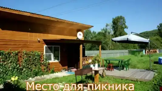 Муравей - 12