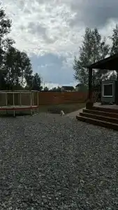 Тихое Место - 1