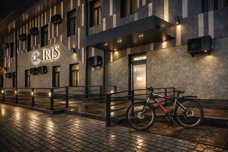 Iris - 1