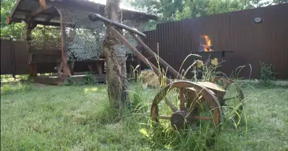 Оксана - 46