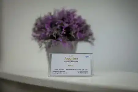 Arbat Inn - 9