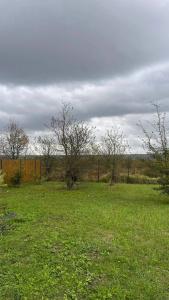 Sova House - 2