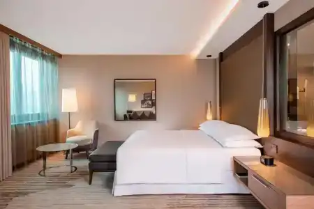 Sheraton Grand Tbilisi Metechi Palace - 2