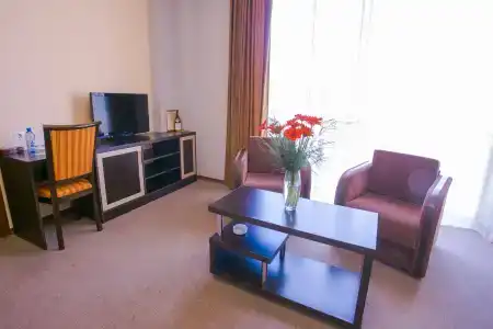 Ani Central Inn - 37