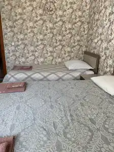 Подснежник - 67