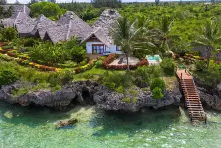 Fruit & Spice Wellness Zanzibar - 30