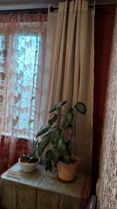 Guest House on Koroleva 32 - 29