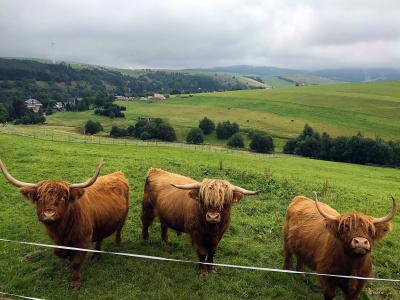 Fichtelberger Blick - 11