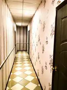 Феникс - 11