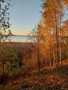Уницы на Селигере - 77