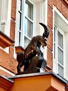 & Bio Restaurant Schwarzer Bock - 1