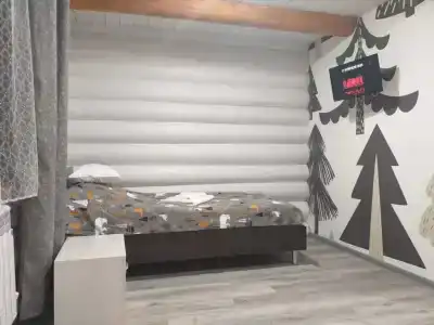 Каргопольская Слобода - 37