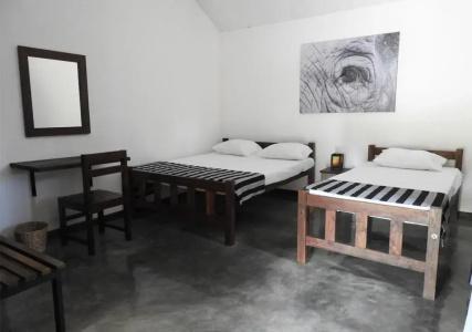THE ELEPHANT PASS - YALA - 5