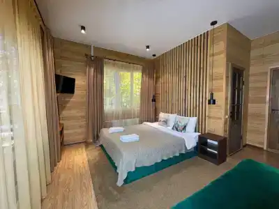 Green Park & Spa - 102