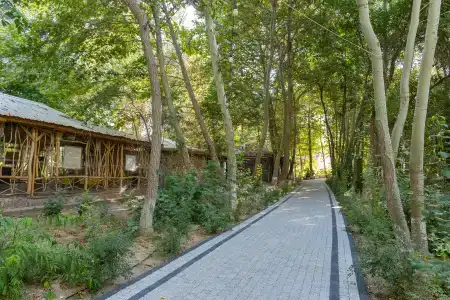 Rano Eco Village - 11