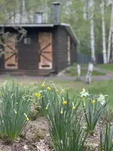 На Ватоме - 9