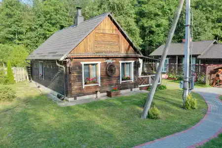 Магия леса в Беловежской пуще - 53
