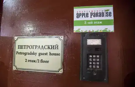 Apple Paradise - 3