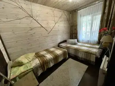 Магия леса в Беловежской пуще - 27