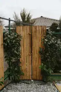 Green Wood - 64