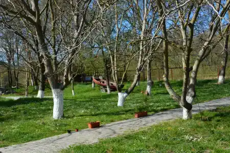 Озёрное - 2