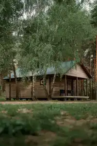 Дзик - 18