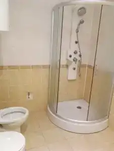 Днепровские сосны - 15