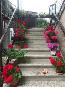Соломон - 3
