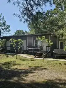 Forest Club - 3