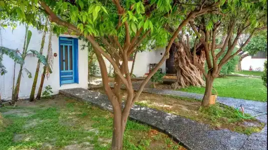Oasis Bungalows Rhodes- All Inclusive - 10