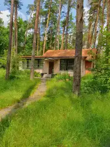 Зеленый луг - 11