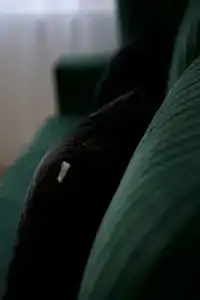 Шато Гага - 100