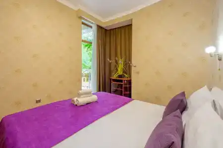 Цикломен - 22