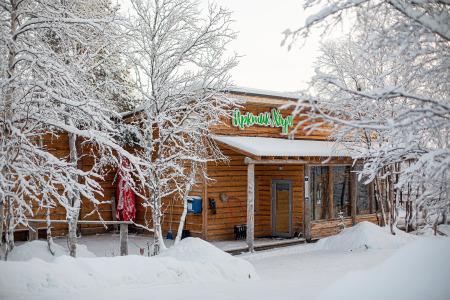 Arctic Home - 0