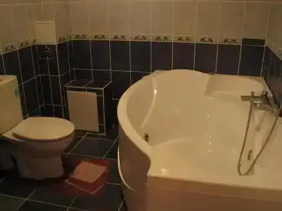 Гостеев - 29