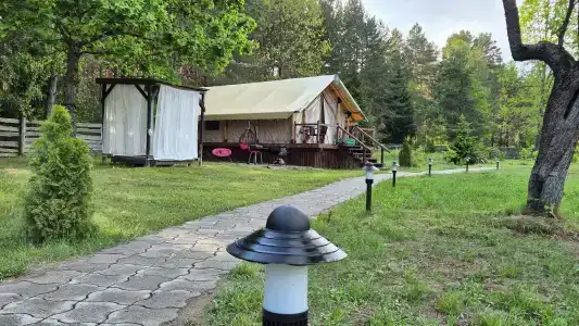 Магия леса в Беловежской пуще - 49