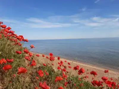 Гостевой дом на Бондаревской - 10