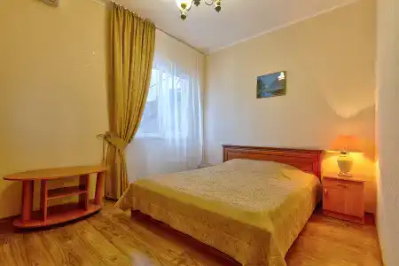 Дельфин - 60