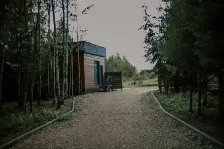 Старый дуб - 85