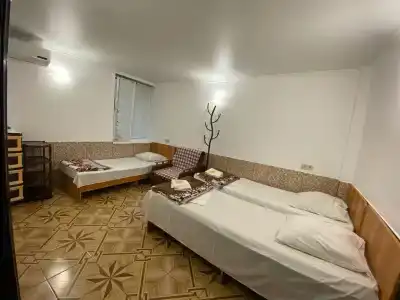 Флора - 23