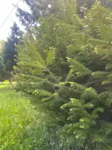 Сердце Байкала - 9