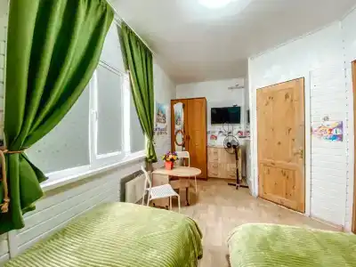 Дельфин - 25