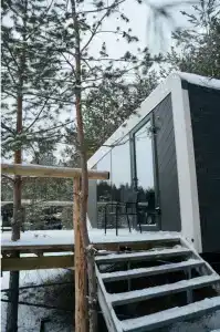 Лесной - 0