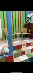 Райские яблоки - 66