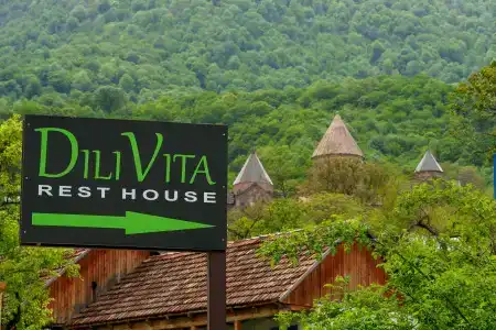 Dilivita - 39