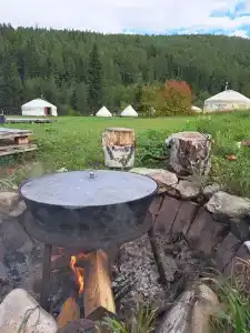 Кедровая сова - 17