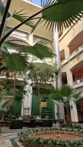 Арарат - 24