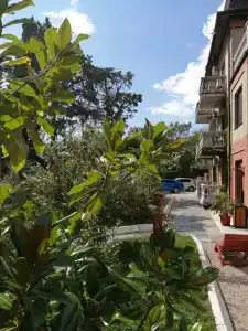 Дача Дриада - 2
