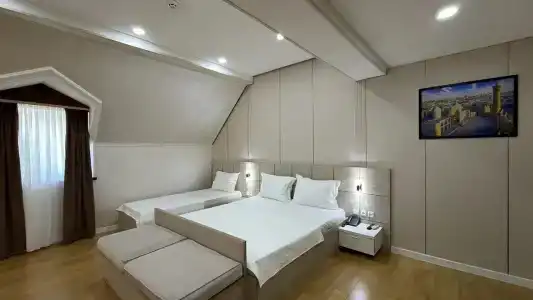 Art Regency Premium Free Airport Service - 10
